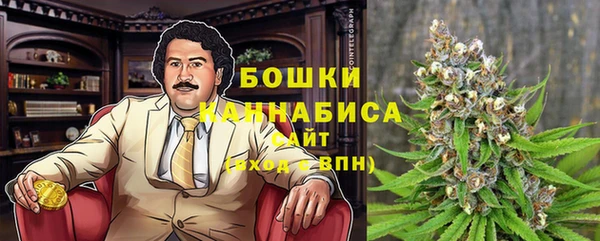 шишки Медногорск