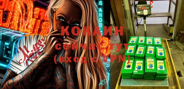 шишки Медногорск