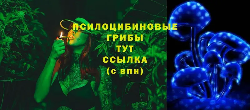 Галлюциногенные грибы MAGIC MUSHROOMS  гидра как войти  Санкт-Петербург 