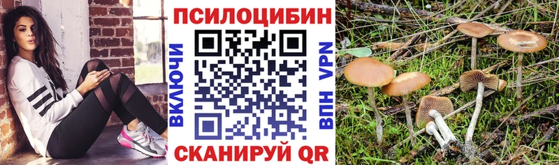 Галлюциногенные грибы MAGIC MUSHROOMS купить закладку Санкт-Петербург