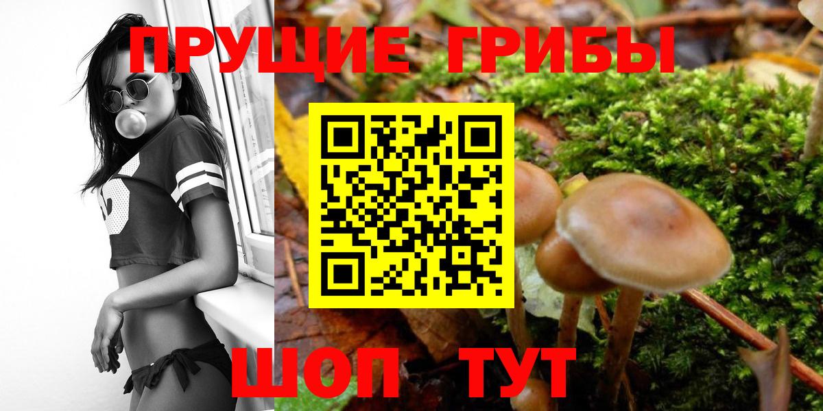 Галлюциногенные грибы MAGIC MUSHROOMS  Вход с VPN  Санкт-Петербург 