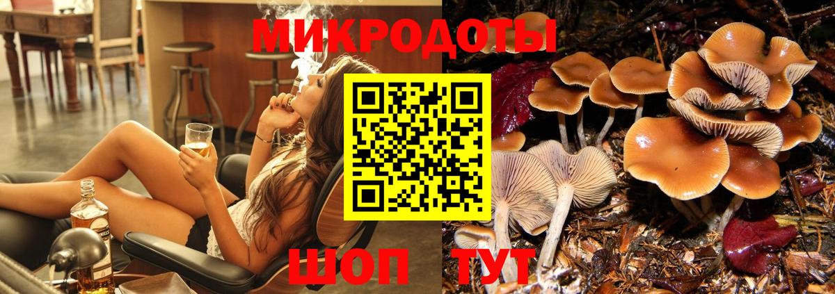 Псилоцибиновые грибы Cubensis Санкт-Петербург