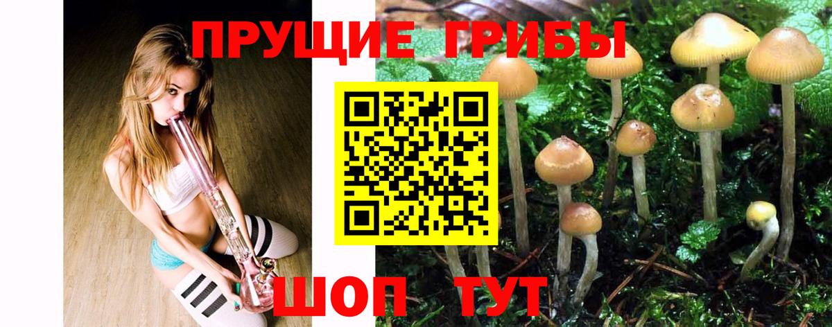 Бошки Шишки Санкт-Петербург