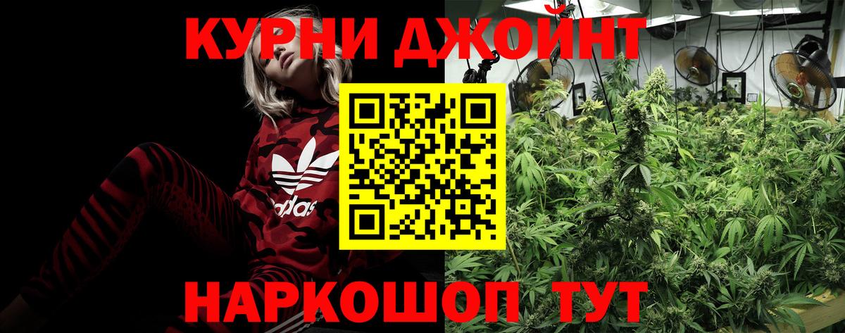 Канабис Amnesia Санкт-Петербург